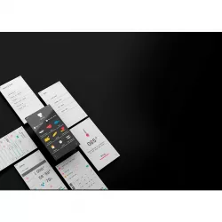 Vue 1